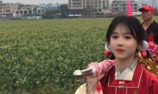 潮汕营标旗是什么意思