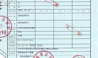 考生档案所在地怎么查