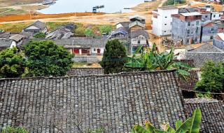 广东东源县属于哪个市