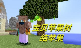 苹果的苹还能组什么词