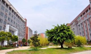 福建林业职业技术学院